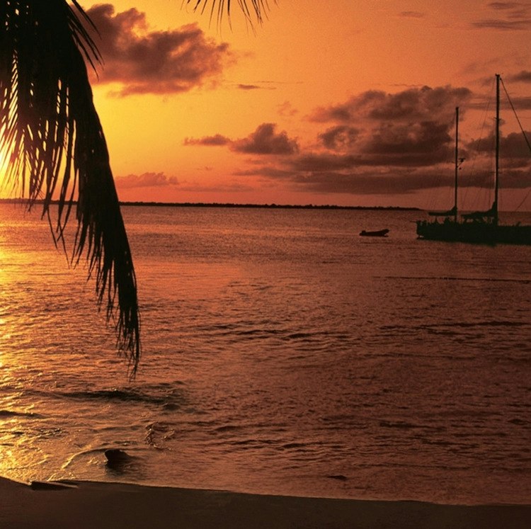 Holland America 9-Night Southern Caribbean Cruise: From $1,398 for 2