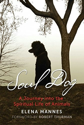 Soul Dog: A Journey into the Spiritual Life of Animals: $9.61 Soul Dog: A Journey into the Spiritual Life of Animals: $9.61