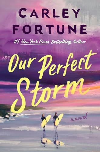 Our Perfect Storm: $16.06 Our Perfect Storm: $16.06
