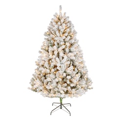 National Tree Company Acacia 6-Foot Pre-Lit Flocked Artificial Christmas Tree for $82 + free shipping