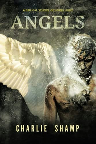 Angels: A Biblical School of Living Light: $19.48 Angels: A Biblical School of Living Light: $19.48