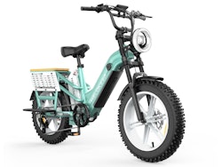 Helokeep CD20 Long-Range Cargo Electric Bike for $1,099 + free shipping