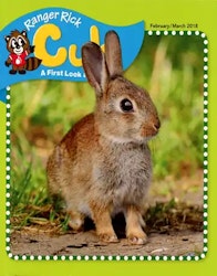 DiscountMags Kids Magazine Sale for From $5.50