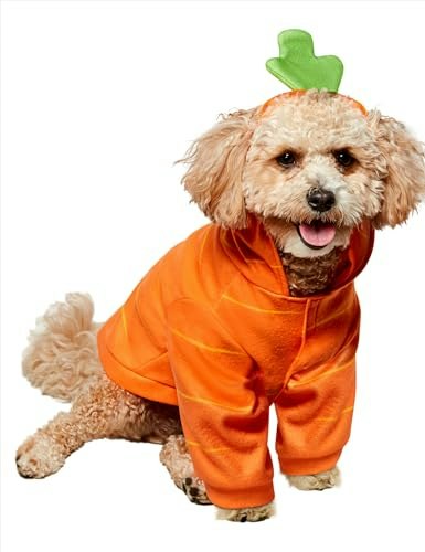 Rubies Carrot Pet Costume: $14.67 Rubies Carrot Pet Costume: $14.67