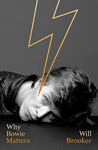 Why Bowie Matters: $10.98 Why Bowie Matters: $10.98