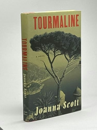 Tourmaline: A Novel: $8.95 Tourmaline: A Novel: $8.95